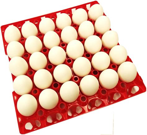 12 RITE FARM PRODUCTS 30 EGG POLY CHICKEN TRAYS SHIPPING CARTON POULTRY FLAT - Walmart.com