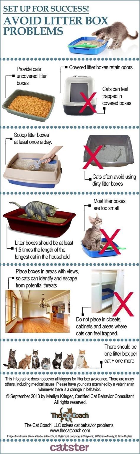 If you're new to the whole litterbox thing, this chart can help! | Cat care, Cat behavior ...