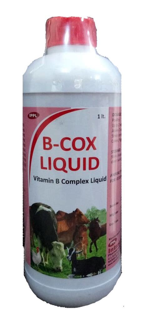 Vitamin B Complex Liquid at best price in Nadiad by Intracin Pharmaceuticals Private Limited ...