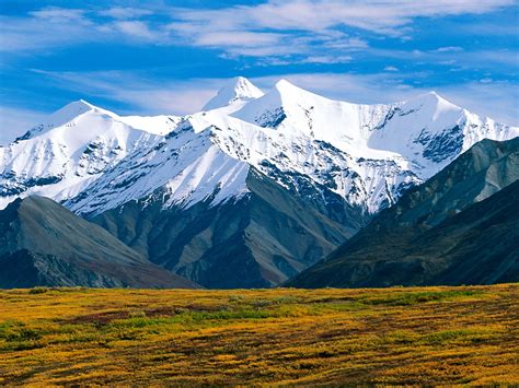 Denali National Park Alaska Wallpapers | HD Wallpapers | ID #6284