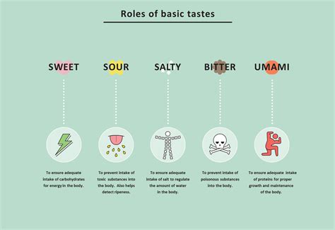 What are 5 basic tastes? | Ajinomoto Vietnam