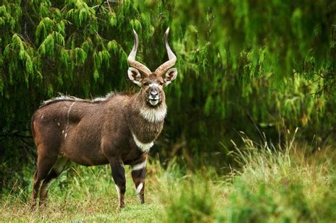 Pin auf Dragoman Africa