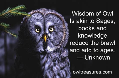 bart-owl-quote-by-unknow | Owl Treasures