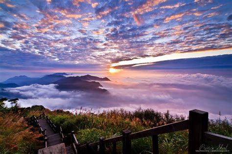 Alishan National Park, Chiayi County, Taiwan | National parks, Travel ...