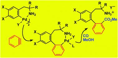 Insertion of benzyne into the Pd–C bond. Synthesis of unnatural amino ...