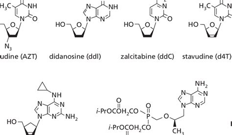 Structures of clinically used nucleoside analogues as NRTIs | Download Scientific Diagram