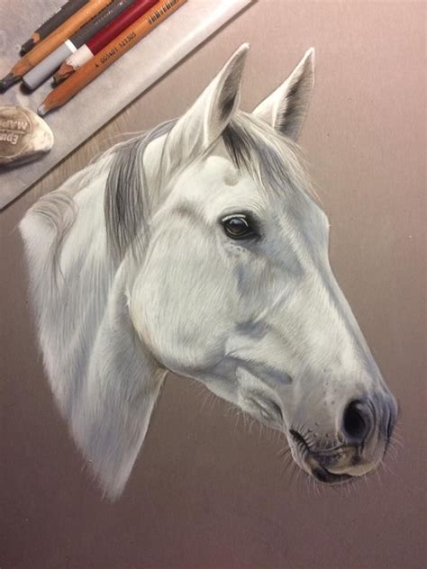 Épinglé par arizona sur pastel | Painted horses, Coloriage cheval, Cheval aquarelle