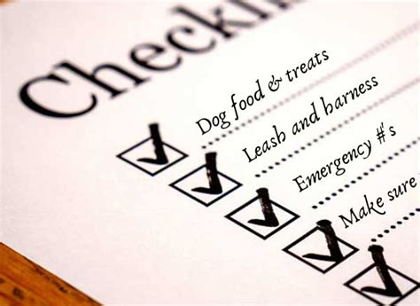 Dog Sitting Tips, Checklist & Instructions (Pet Sitting 101) - Fairmount Pet Service