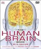 DK Publishing's illustrated 'Human Brain Book' - my mind on books | my mind on books