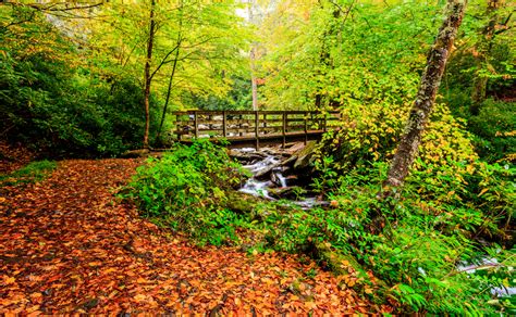 Chimney Tops Trail | gsmnp