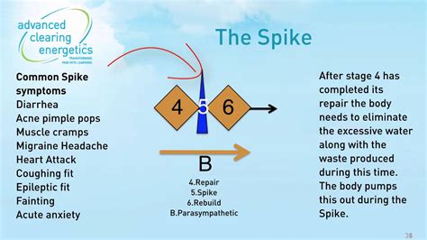 The Disease Process - 6 stages - YouTube