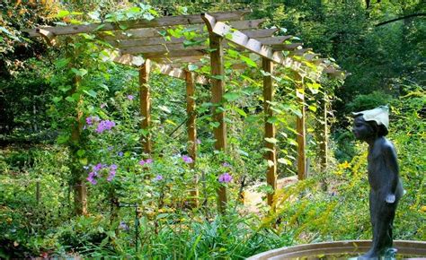 Help guide to Garden Trellis Ideas | Home And Garden With Donna - Get ...