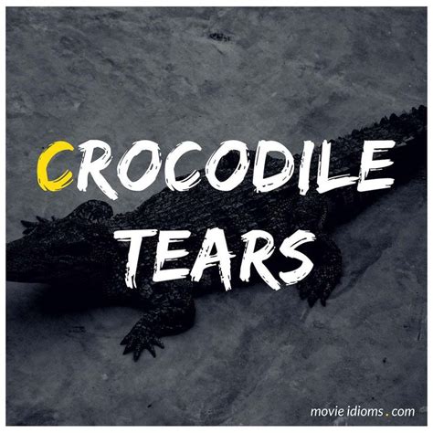 Crocodile Tears Idiom | Crocodile tears, Idioms, Tears