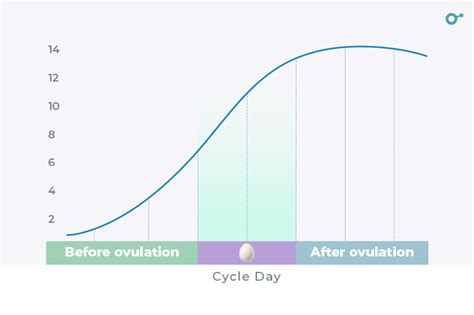 Daily Progesterone Levels After Ovulation: What to Expect