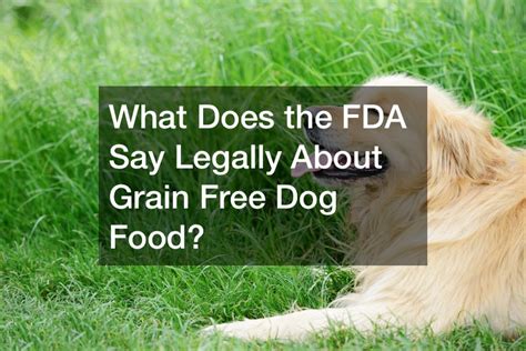 What Does the FDA Say Legally About Grain Free Dog Food? - Legal News ...