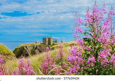 Dunnottar Castle Scotland Stock Photo 377639434 | Shutterstock