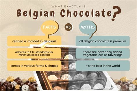 Best Belgian Chocolate Brands (Belgium Chocolate History)