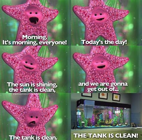 Finding Nemo Starfish Quotes