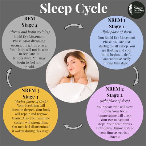 What is a Sleep Cycle? – The Natural Bedding Company