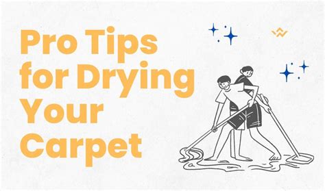 Pro Tips for Drying Your Carpet. So, you just treated your beloved ...