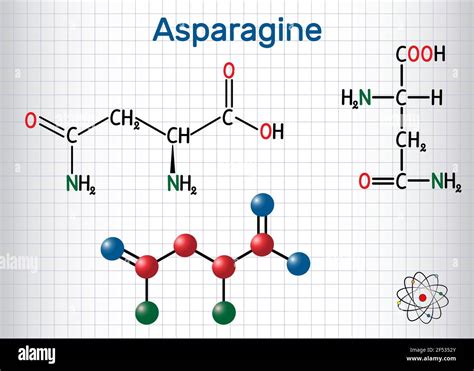 Asparagine Structure