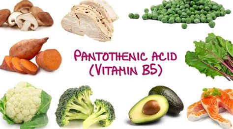 Pantothenic acid or Vitamin B5 | Chandigarh Ayurved & Panchakarma Centre