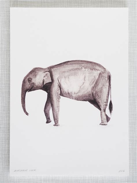 Elephant Animal Print A4 Size - Etsy