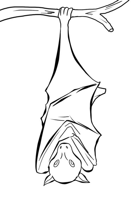 hanging bat drawing | Bat coloring pages, Bat sketch, Hanging bat