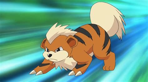 Pokemon GO Adds Shiny Growlithe | Game Rant