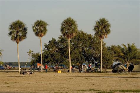 Everglades National Park Camping in 2023 (+Maps & Tips) - TMBtent