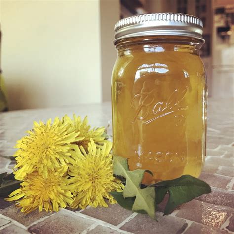 Dandelion Jelly Recipe-Delicate, Honey-Like Flavor of Spring Sunshine