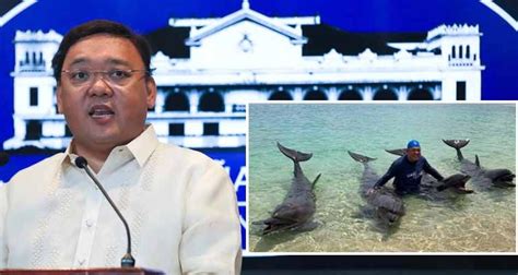 Harry Roque apologises for viral dolphin photos