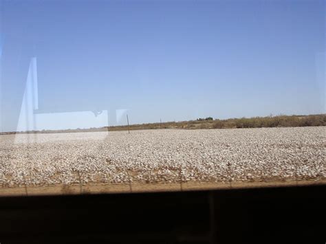 Texas Gypsies: San Angelo TX - San Angelo State Park at OC Fisher Lake