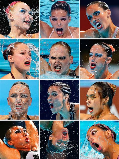 Pin by Paul Nisely on OTHER SPORTS | Swimming memes, Swimming funny, Synchronized swimming