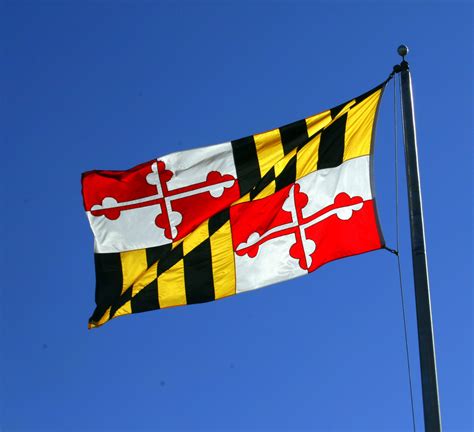 Mesmerizing, Or A Hot Mess? Why Maryland's State Flag Looks So ...