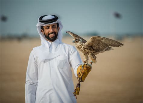 ILoveQatar.net | What you need to know about falconry in Qatar