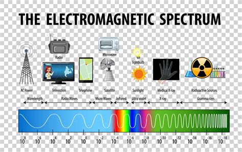 Electromagnetic Spectrum Infographic