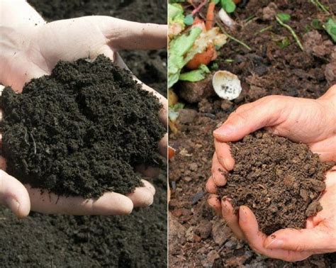 Topsoil Versus Compost? Garden Hacks - A Green Hand