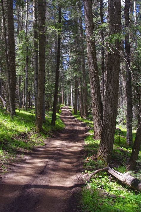 Southern New Mexico Explorer: Lucas Canyon Trail ( FT 251)- Lincoln National Forest