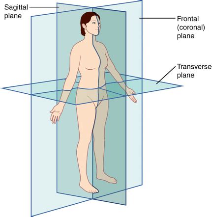 Oblique Plane Movement Examples