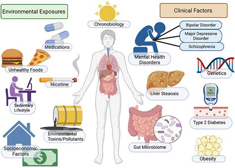 Frontiers | Non-alcoholic fatty liver disease (NAFLD) and mental ...