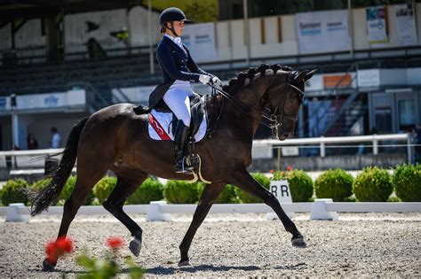 DER LONGINES CSI BASEL AB 2022 MIT DRESSUR AUF WELTKLASSE-NIVEAU | reitturniere.de | News ...