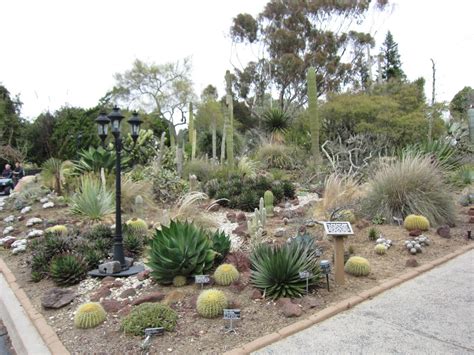 Where Is Darren Now?: San Diego Botanic Garden