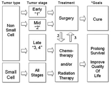 Treatment - Lungsurgeon.com