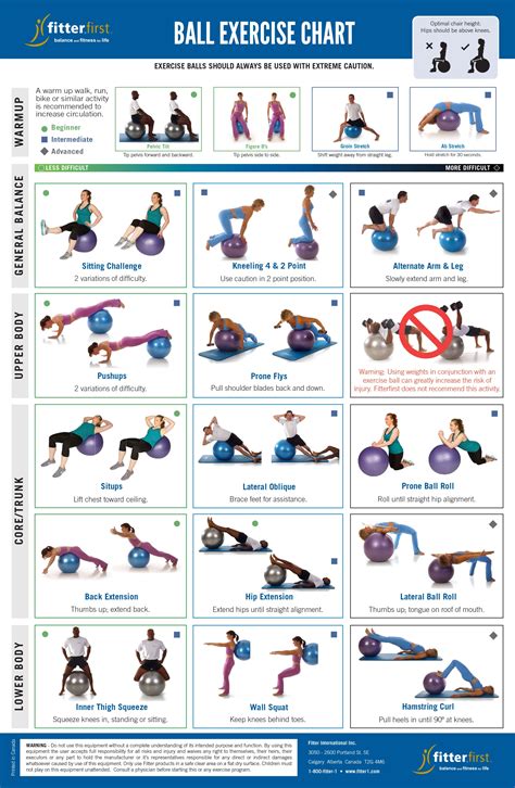 Fitterfirst® Exercise Ball Exercise Chart | Read Fitterfirst's Blog ...