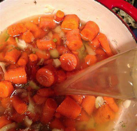 Carrot and Fennel Soup - From Garden to Soup Bowl