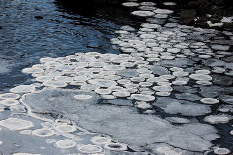 Ice Pancakes anyone? ...These are normally seen in the Arctic - but today they're in the ...