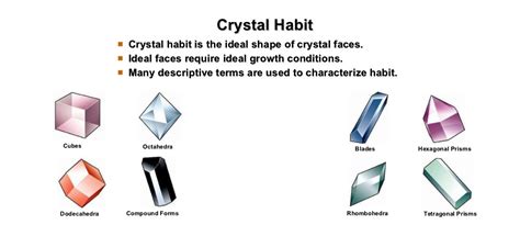 13 Extraordinary Facts About Crystal Gayle - Facts.net