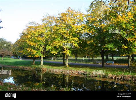 Sefton Park, Autumn time Stock Photo - Alamy