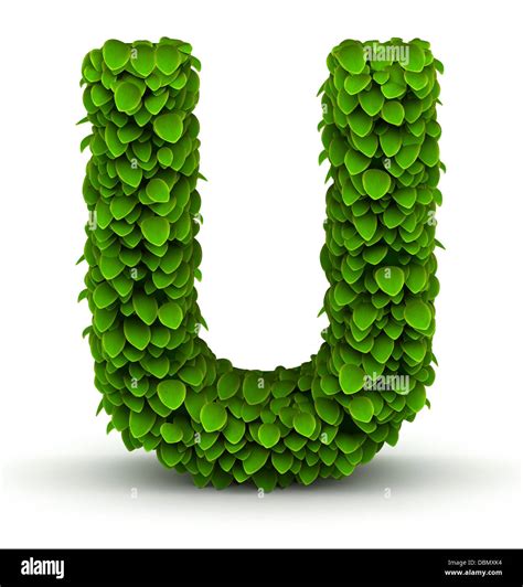 Leaves font letter U Stock Photo - Alamy